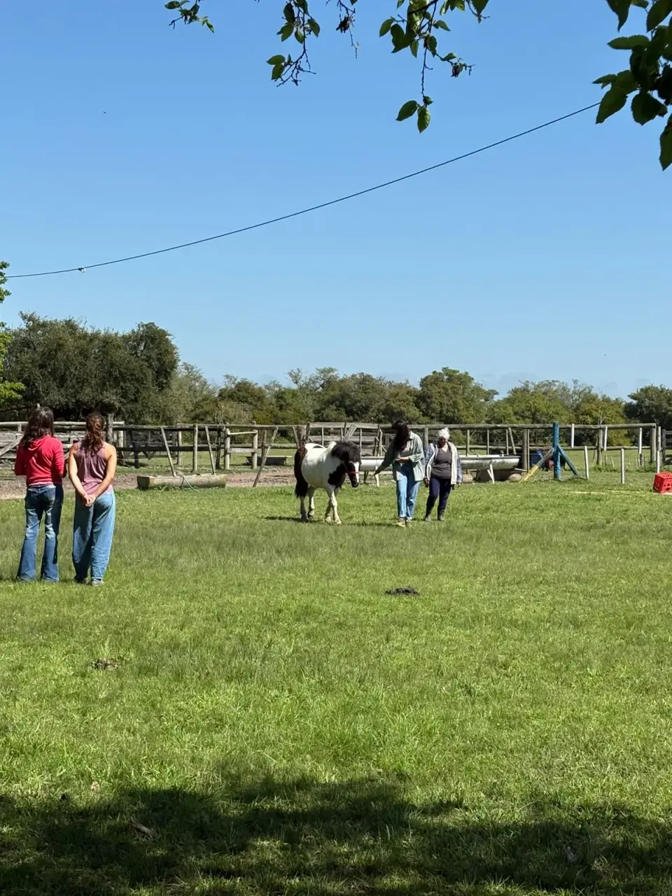 Capacitación "Horas Caballo" Terapias Asistidas con Caballos
