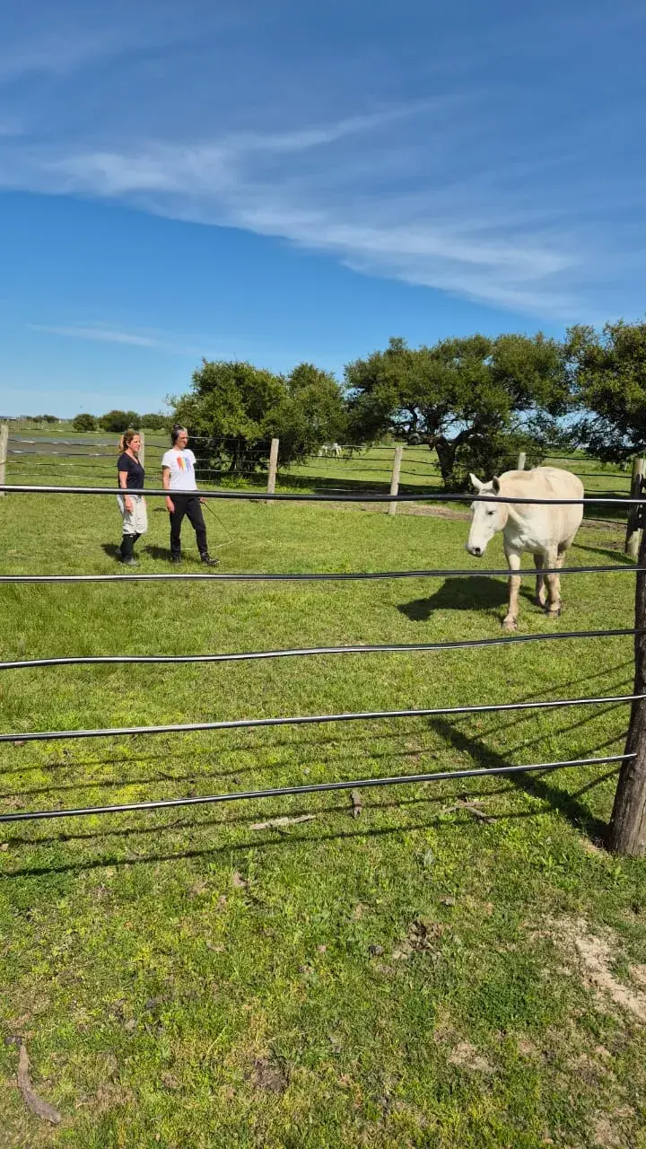 Capacitación "Horas Caballo" Terapias Asistidas con Caballos
