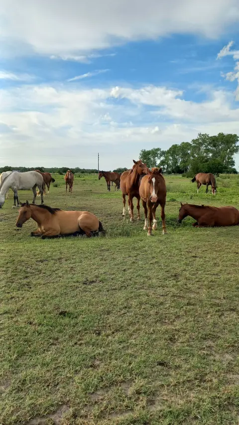Cabalgata en Esencia Ecuestre