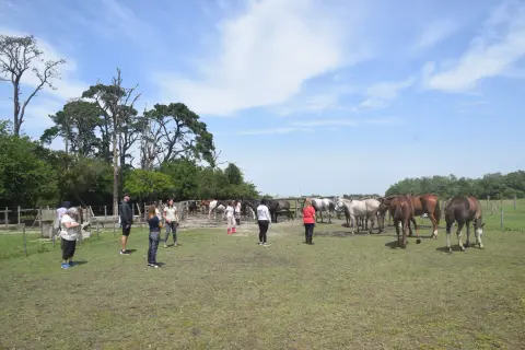 Cabalgata en Esencia Ecuestre
