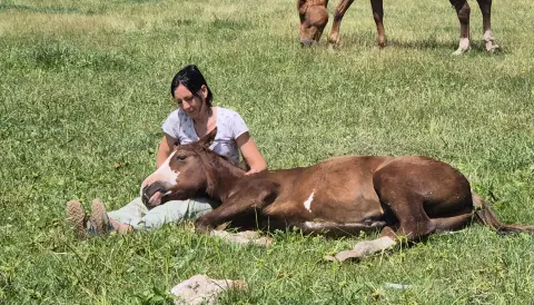 Cabalgata en Esencia Ecuestre
