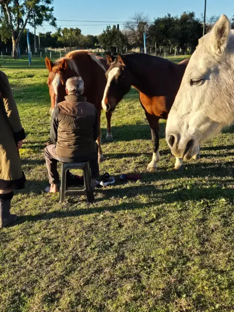 Cabalgata en Esencia Ecuestre
