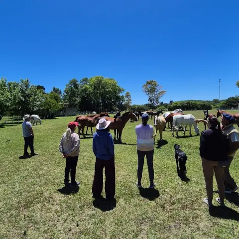 Cabalgata en Esencia Ecuestre