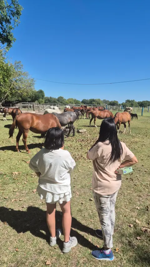 Cabalgata en Esencia Ecuestre