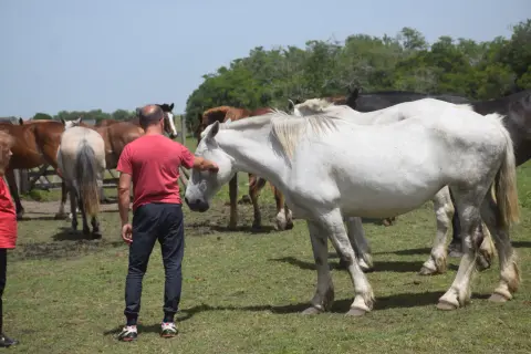 Cabalgata en Esencia Ecuestre