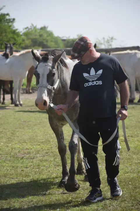 Cabalgata en Esencia Ecuestre
