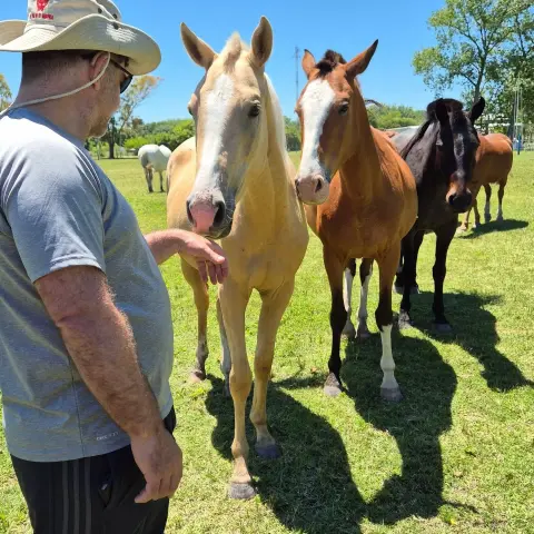 Cabalgata en Esencia Ecuestre