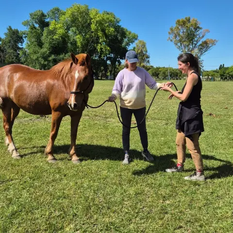 Cabalgata en Esencia Ecuestre