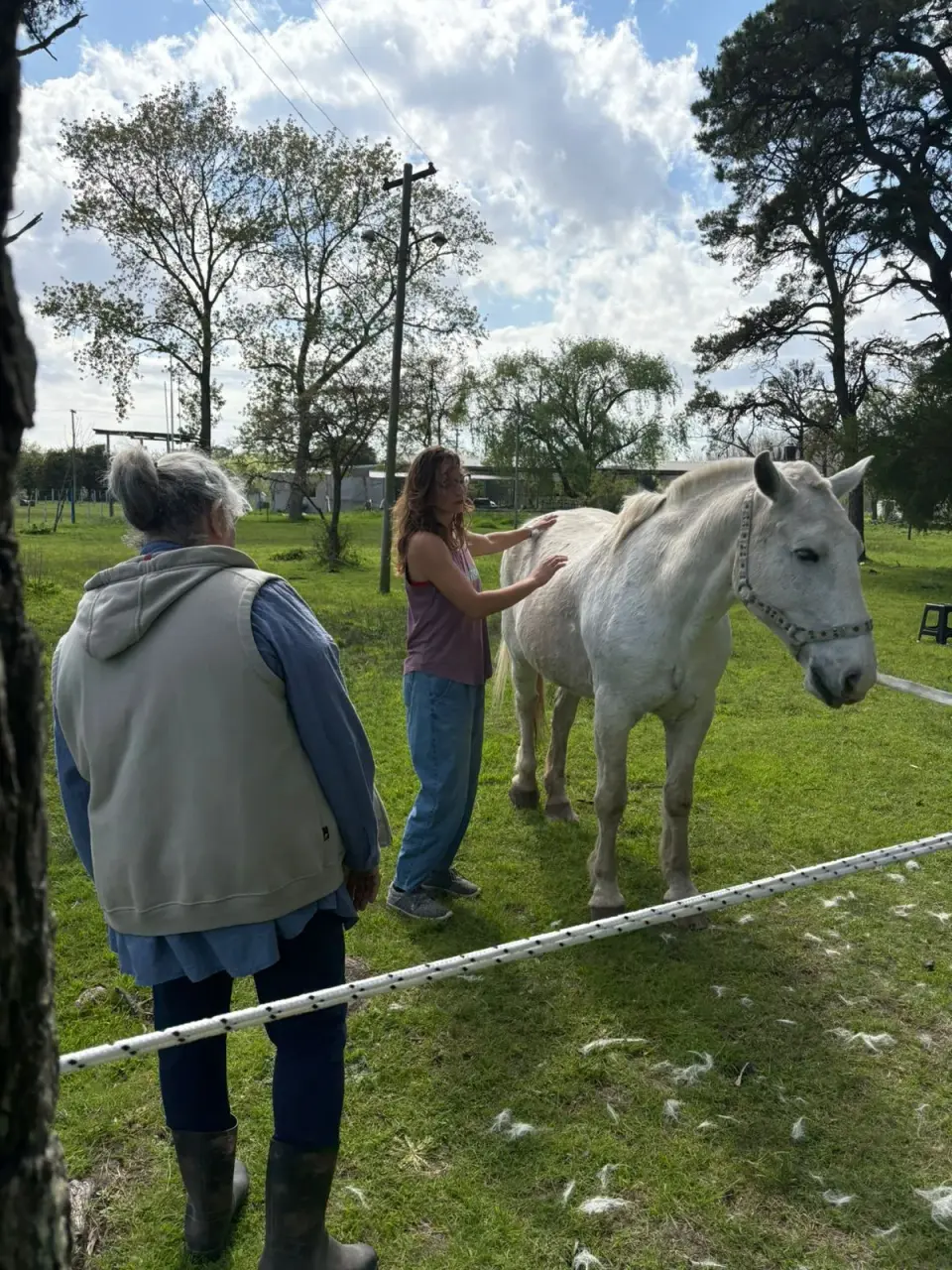 Capacitación "Horas Caballo" Terapias Asistidas con Caballos