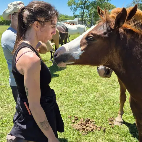 Cabalgata en Esencia Ecuestre