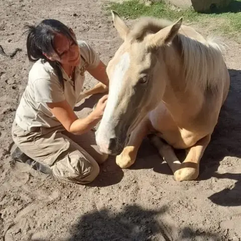 Cabalgata en Esencia Ecuestre