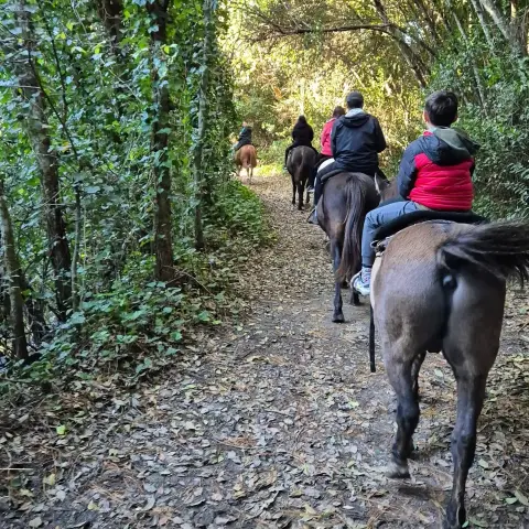 Cabalgata en Esencia Ecuestre