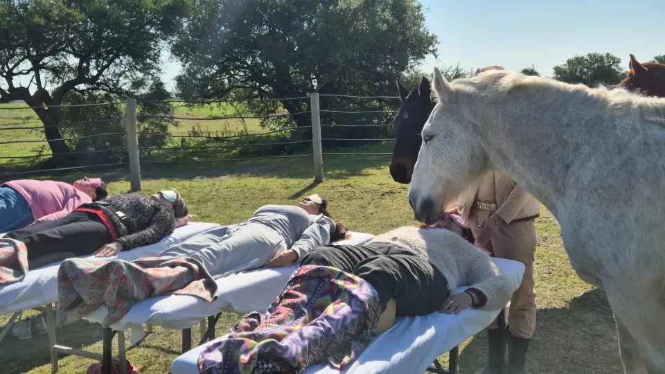 Curso Armonización Energética con Caballos