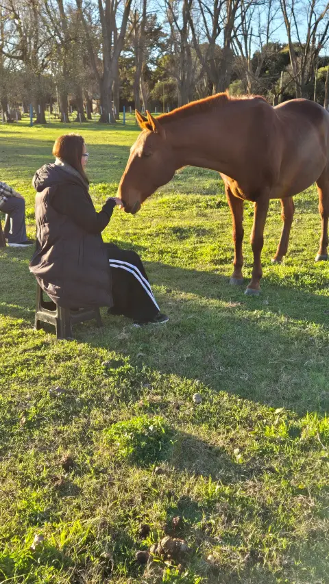 Cabalgata en Esencia Ecuestre