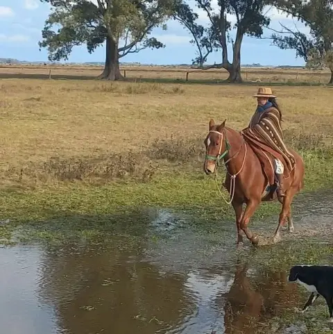 Cabalgata en Esencia Ecuestre