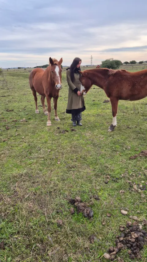 Cabalgata en Esencia Ecuestre