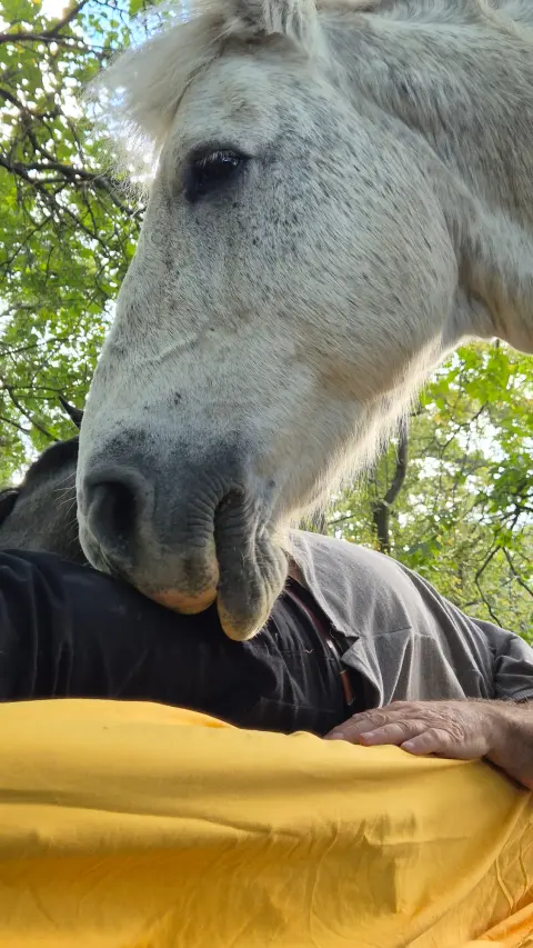 Cabalgata en Esencia Ecuestre