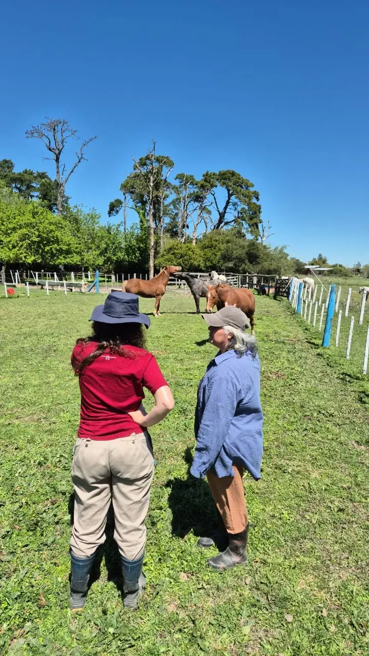 Capacitación "Horas Caballo" Terapias Asistidas con Caballos