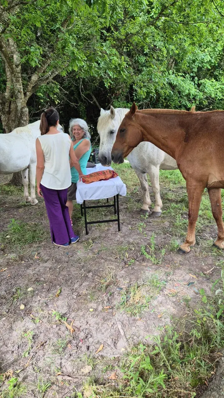 Curso Armonización Energética con Caballos