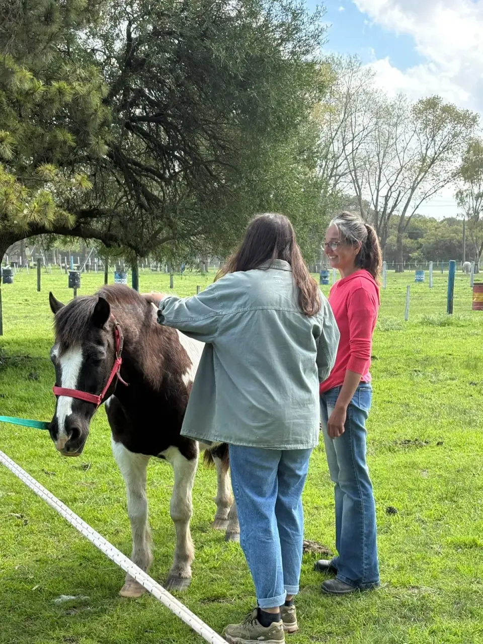 Capacitación "Horas Caballo" Terapias Asistidas con Caballos