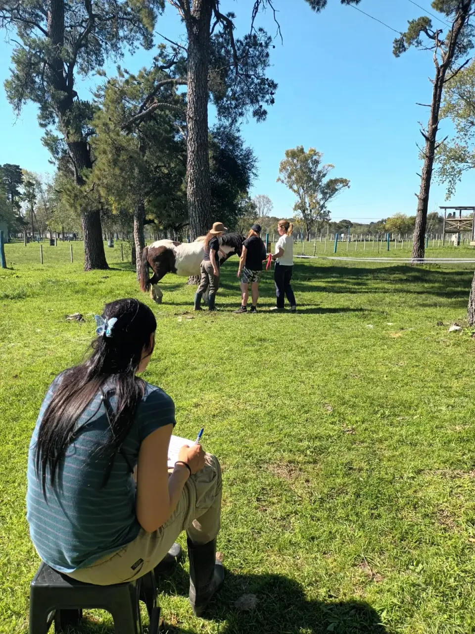 Capacitación "Horas Caballo" Terapias Asistidas con Caballos