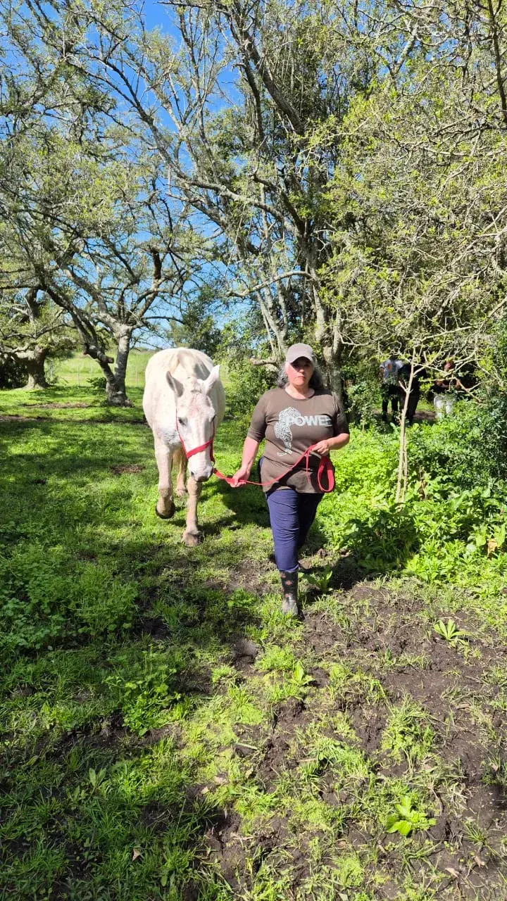 Capacitación "Horas Caballo" Terapias Asistidas con Caballos