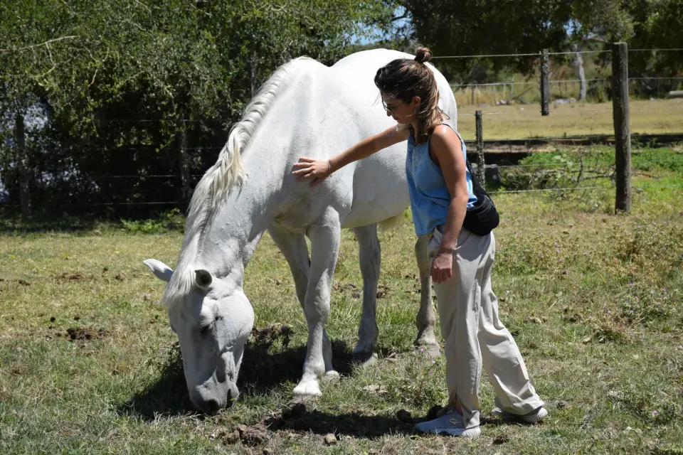 Experiencia Vínculo con los Caballos
