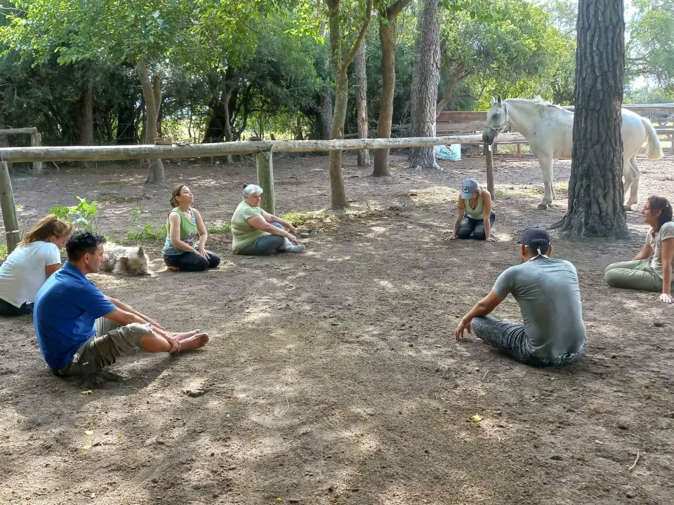 Experiencia Vínculo con los Caballos