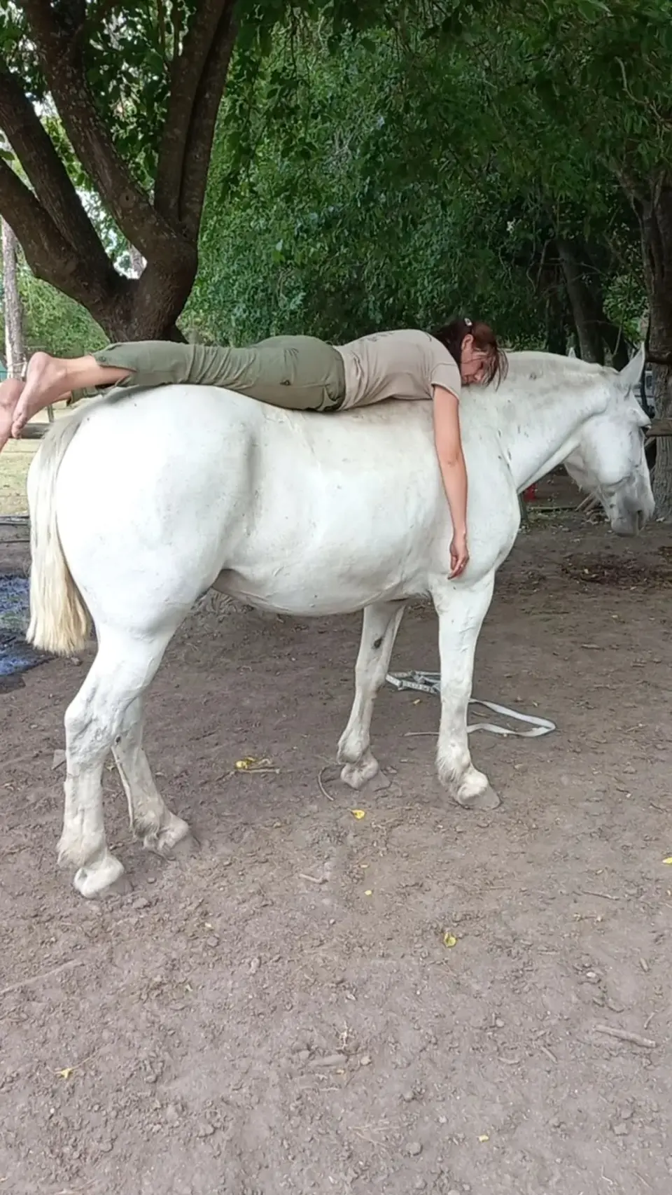 Experiencia Vínculo con los Caballos