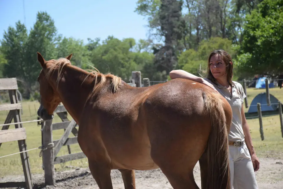 Experiencia Vínculo con los Caballos
