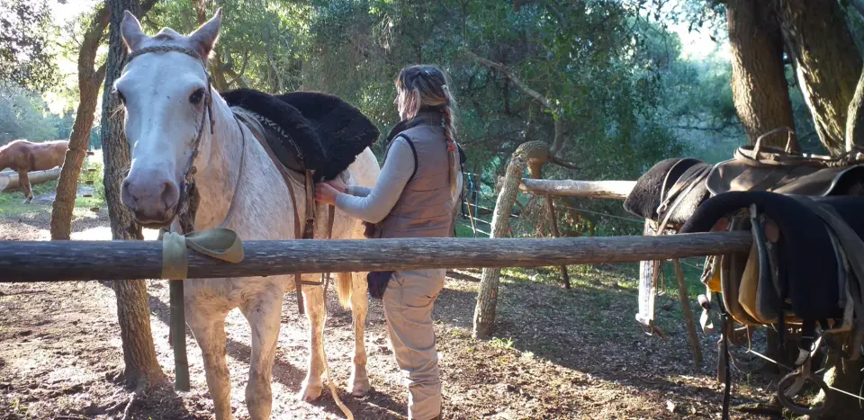 Cabalgata Travesía