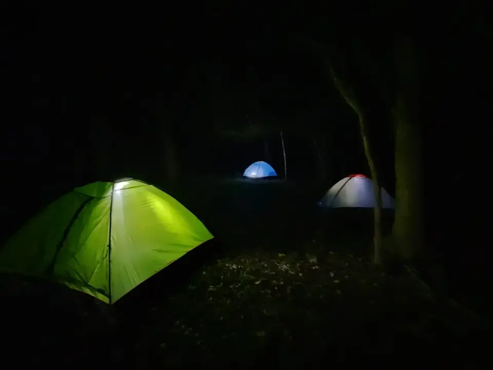 Cabalgata Nocturna