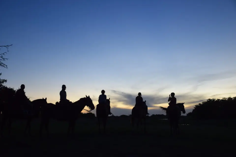 Cabalgata Nocturna