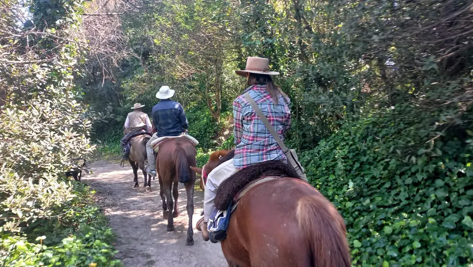 Tarde de Cabalgata