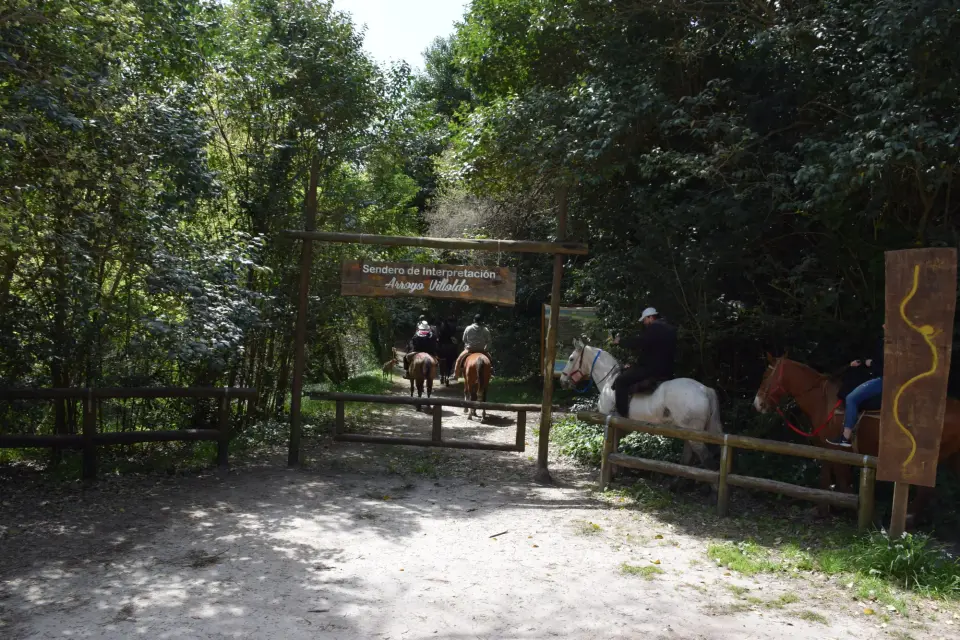 Tarde de Cabalgata